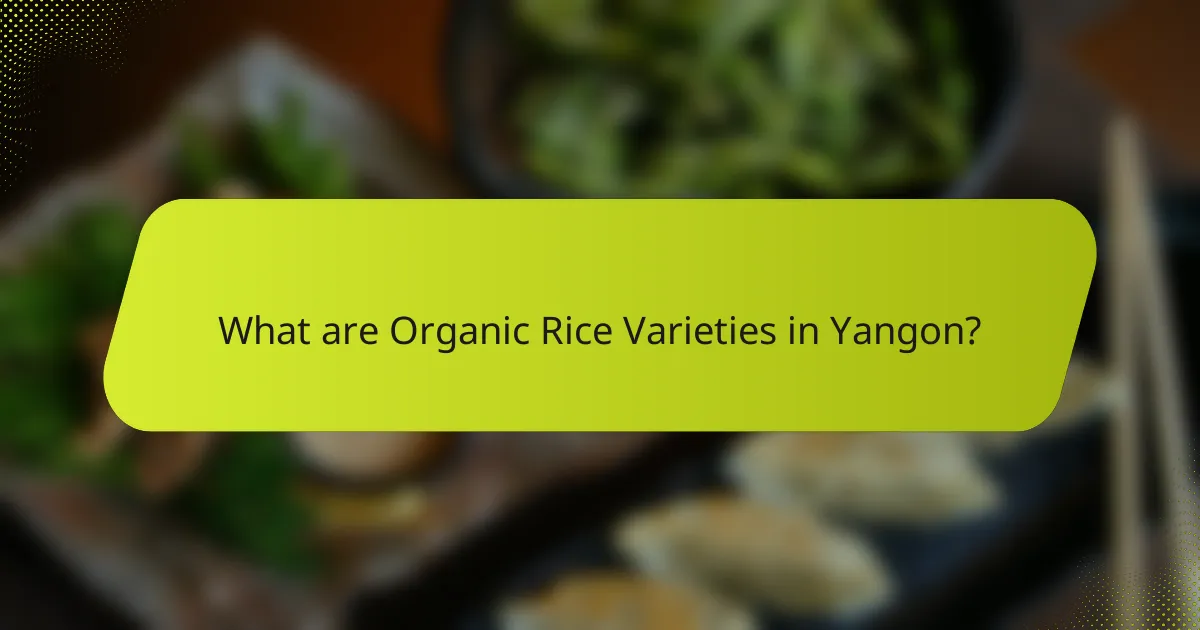 What are Organic Rice Varieties in Yangon?