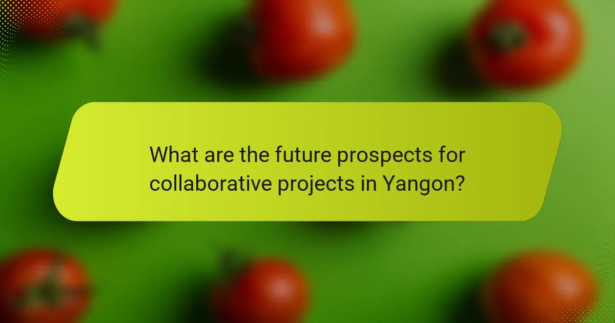 What are the future prospects for collaborative projects in Yangon?