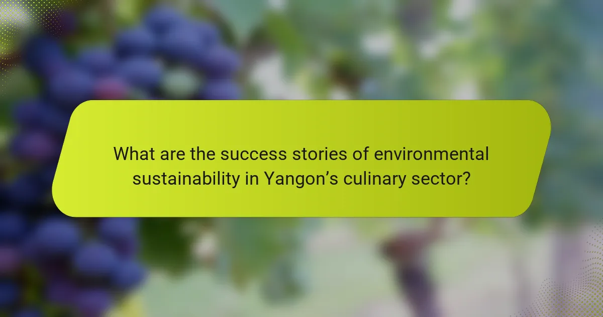 What are the success stories of environmental sustainability in Yangon’s culinary sector?