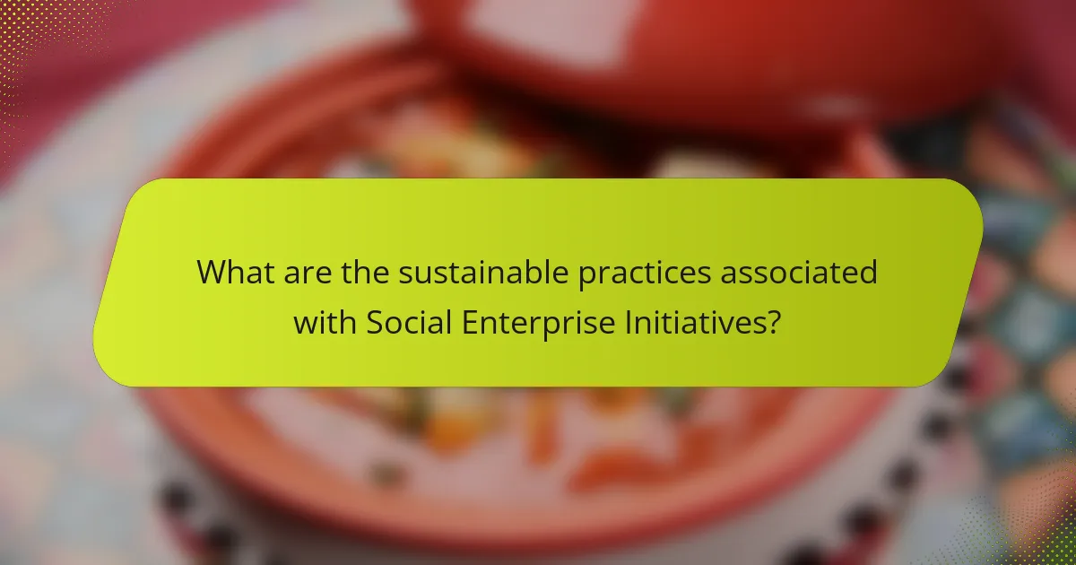 What are the sustainable practices associated with Social Enterprise Initiatives?