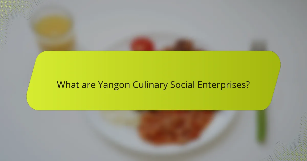 What are Yangon Culinary Social Enterprises?