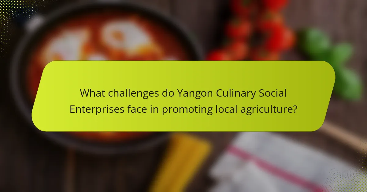 What challenges do Yangon Culinary Social Enterprises face in promoting local agriculture?