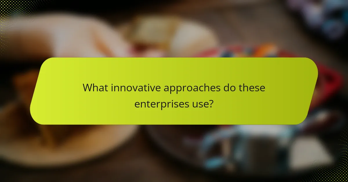 What innovative approaches do these enterprises use?