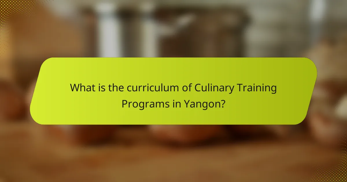 What is the curriculum of Culinary Training Programs in Yangon?